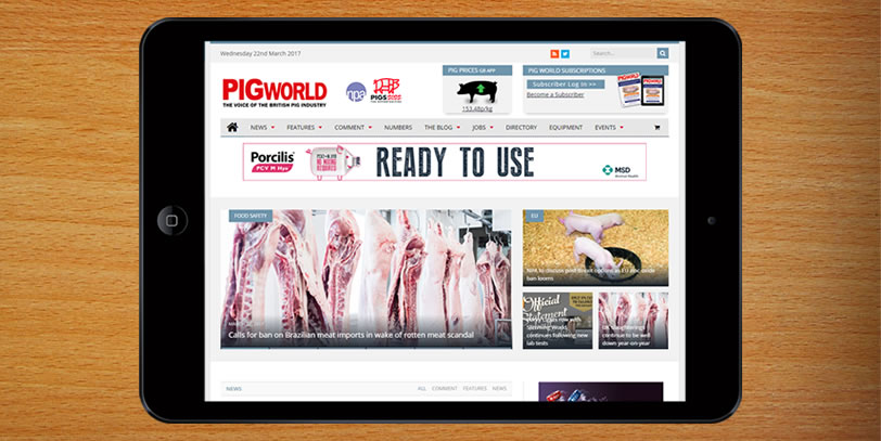 pig-world.co.uk