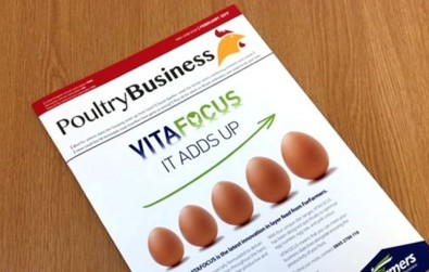 poultry business image
