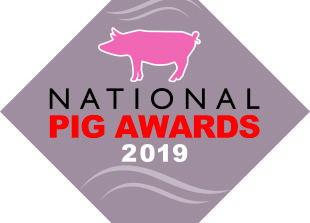 grey pig award logo 2017 open fonts