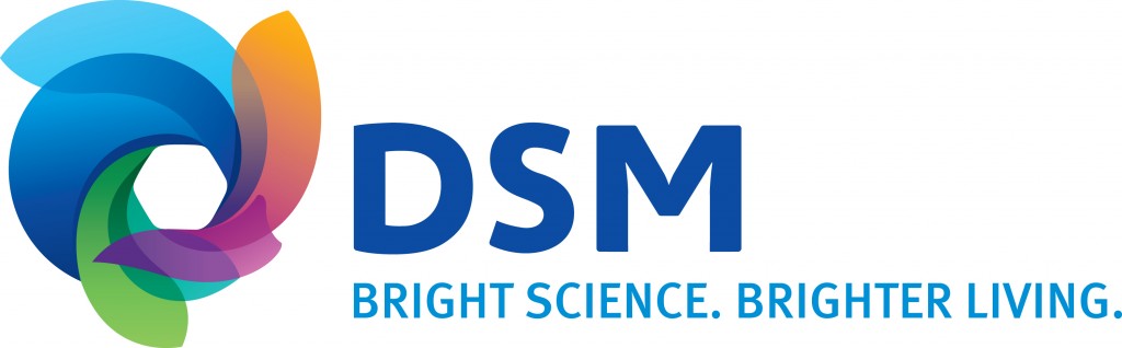 DSM_Master Logo